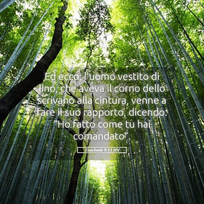 Picture 05 - Ezechiele 9:11 RIV - Ed ecco, l’uomo vestito di lino, che aveva il - Bible Verse Picture