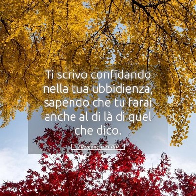 Picture 05 - Filemone 1:21 RIV - Ti scrivo confidando nella tua ubbidienza, - Bible Verse Picture
