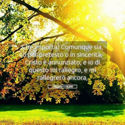 Picture 05 - Filippesi 1:18 RIV - Che importa? Comunque sia, o per pretesto o in - Bible Verse Picture