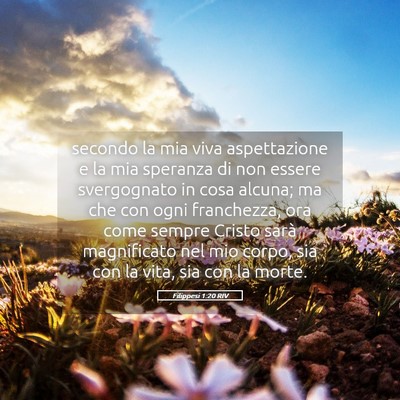 Picture 05 - Filippesi 1:20 RIV - secondo la mia viva aspettazione e la mia - Bible Verse Picture