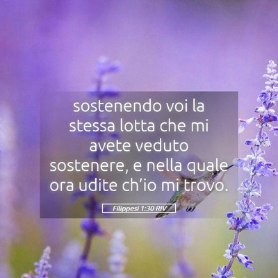 Picture 05 - Filippesi 1:30 RIV - sostenendo voi la stessa lotta che mi avete - Bible Verse Picture