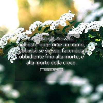 Picture 05 - Filippesi 2:8 RIV - ed essendo trovato nell’esteriore come un uomo, - Bible Verse Picture