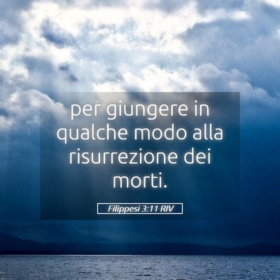 Picture 05 - Filippesi 3:11 RIV - per giungere in qualche modo alla risurrezione - Bible Verse Picture