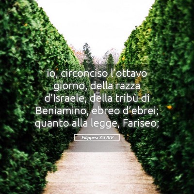 Picture 05 - Filippesi 3:5 RIV - io, circonciso l’ottavo giorno, della razza - Bible Verse Picture