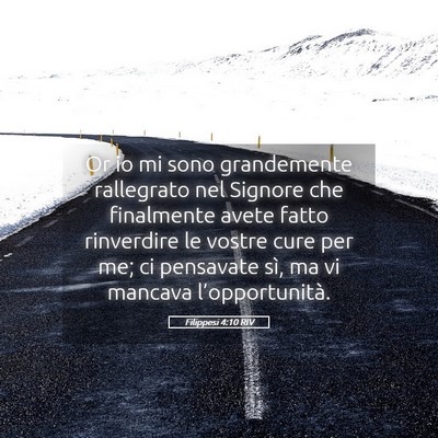 Picture 05 - Filippesi 4:10 RIV - Or io mi sono grandemente rallegrato nel Signore - Bible Verse Picture