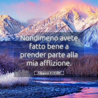Picture 05 - Filippesi 4:14 RIV - Nondimeno avete fatto bene a prender parte alla - Bible Verse Picture