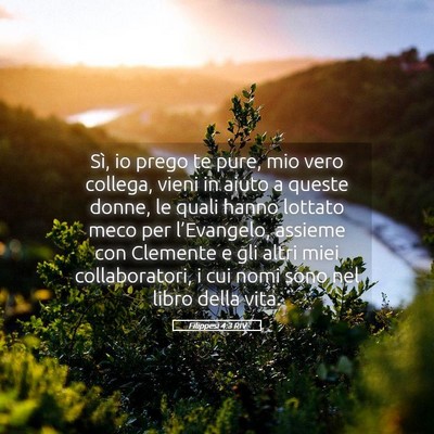 Picture 05 - Filippesi 4:3 RIV - Sì, io prego te pure, mio vero collega, vieni in - Bible Verse Picture