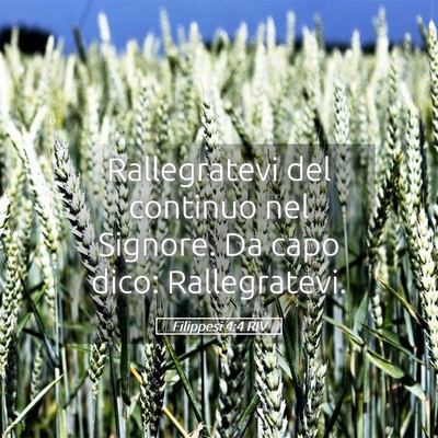 Picture 05 - Filippesi 4:4 RIV - Rallegratevi del continuo nel Signore. Da capo - Bible Verse Picture