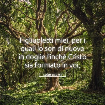 Picture 05 - Galati 4:19 RIV - Figliuoletti miei, per i quali io son di nuovo in - Bible Verse Picture
