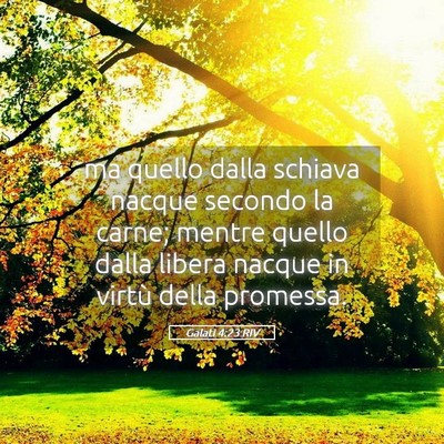 Picture 05 - Galati 4:23 RIV - ma quello dalla schiava nacque secondo la carne; - Bible Verse Picture