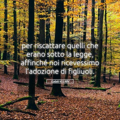 Picture 05 - Galati 4:5 RIV - per riscattare quelli che erano sotto la legge, - Bible Verse Picture