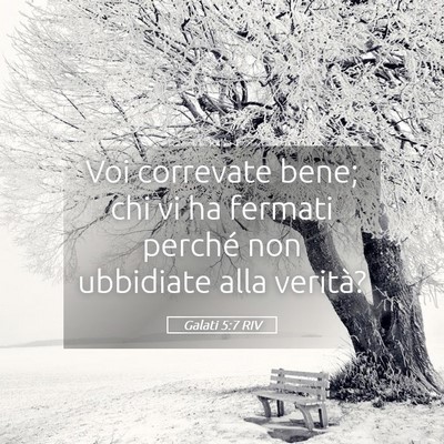 Picture 05 - Galati 5:7 RIV - Voi correvate bene; chi vi ha fermati perché non - Bible Verse Picture