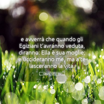 Picture 05 - Genesi 12:12 RIV - e avverrà che quando gli Egiziani t’avranno - Bible Verse Picture