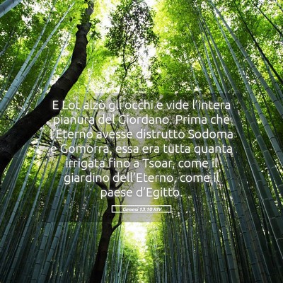 Picture 05 - Genesi 13:10 RIV - E Lot alzò gli occhi e vide l’intera pianura - Bible Verse Picture
