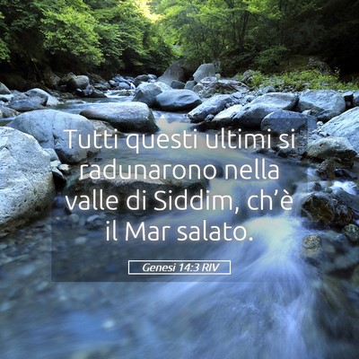 Picture 05 - Genesi 14:3 RIV - Tutti questi ultimi si radunarono nella valle di - Bible Verse Picture