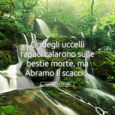 Picture 05 - Genesi 15:11 RIV - Or degli uccelli rapaci calarono sulle bestie - Bible Verse Picture