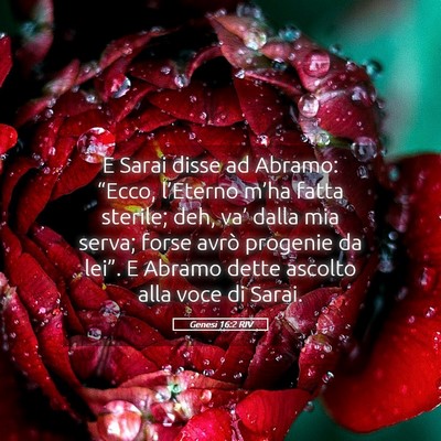 Picture 05 - Genesi 16:2 RIV - E Sarai disse ad Abramo: “Ecco, l’Eterno - Bible Verse Picture