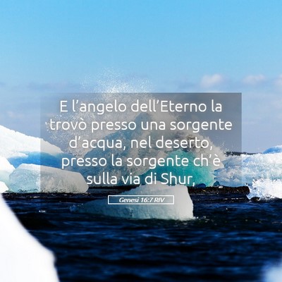 Picture 05 - Genesi 16:7 RIV - E l’angelo dell’Eterno la trovò presso una - Bible Verse Picture