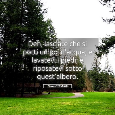 Picture 05 - Genesi 18:4 RIV - Deh, lasciate che si porti un po’ d’acqua; e - Bible Verse Picture