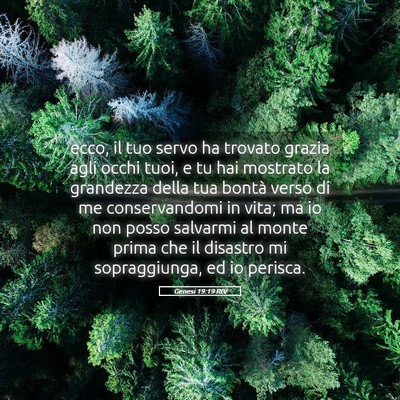 Picture 05 - Genesi 19:19 RIV - ecco, il tuo servo ha trovato grazia agli occhi - Bible Verse Picture