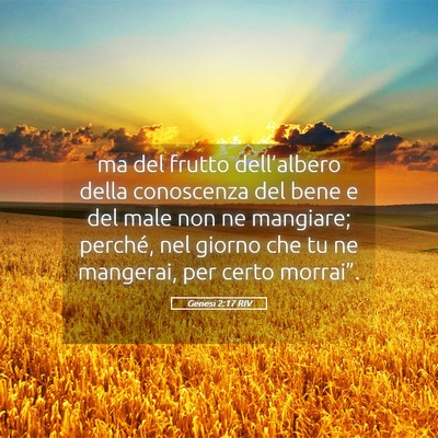 Picture 05 - Genesi 2:17 RIV - ma del frutto dell’albero della conoscenza del - Bible Verse Picture