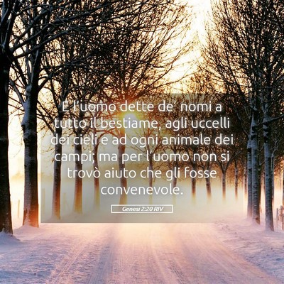Picture 05 - Genesi 2:20 RIV - E l’uomo dette de’ nomi a tutto il bestiame, - Bible Verse Picture