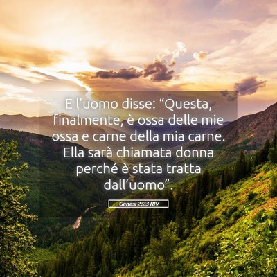 Picture 05 - Genesi 2:23 RIV - E l’uomo disse: “Questa, finalmente, è ossa - Bible Verse Picture