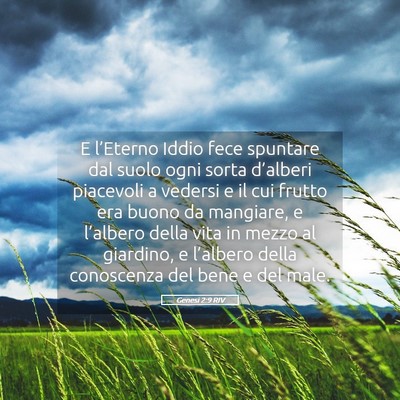Picture 05 - Genesi 2:9 RIV - E l’Eterno Iddio fece spuntare dal suolo ogni - Bible Verse Picture