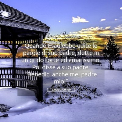 Picture 05 - Genesi 27:34 RIV - Quando Esaù ebbe udite le parole di suo padre, - Bible Verse Picture