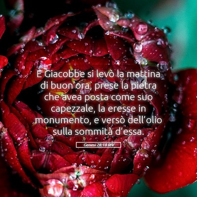Picture 05 - Genesi 28:18 RIV - E Giacobbe si levò la mattina di buon’ora, - Bible Verse Picture