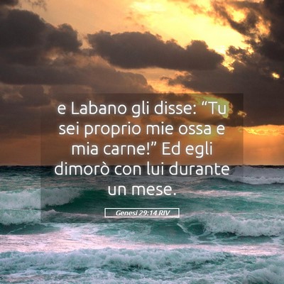 Picture 05 - Genesi 29:14 RIV - e Labano gli disse: “Tu sei proprio mie ossa e - Bible Verse Picture