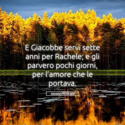 Picture 05 - Genesi 29:20 RIV - E Giacobbe servì sette anni per Rachele; e gli - Bible Verse Picture