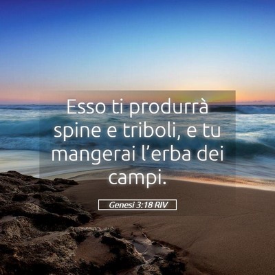 Picture 05 - Genesi 3:18 RIV - Esso ti produrrà spine e triboli, e tu mangerai - Bible Verse Picture