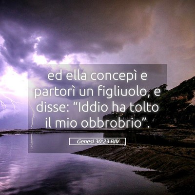 Picture 05 - Genesi 30:23 RIV - ed ella concepì e partorì un figliuolo, e - Bible Verse Picture