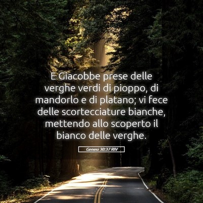 Picture 05 - Genesi 30:37 RIV - E Giacobbe prese delle verghe verdi di pioppo, di - Bible Verse Picture