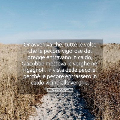 Picture 05 - Genesi 30:41 RIV - Or avveniva che, tutte le volte che le pecore - Bible Verse Picture