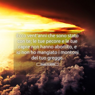 Picture 05 - Genesi 31:38 RIV - Ecco vent’anni che sono stato con te; le tue - Bible Verse Picture