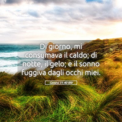Picture 05 - Genesi 31:40 RIV - Di giorno, mi consumava il caldo; di notte, il - Bible Verse Picture