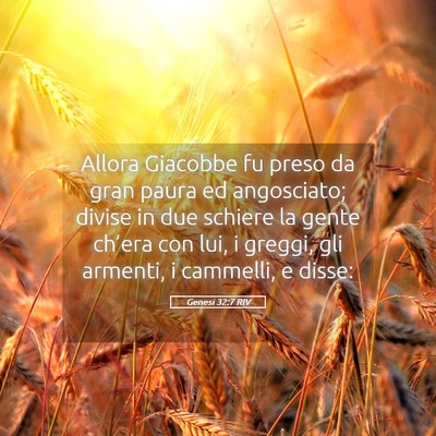 Picture 05 - Genesi 32:7 RIV - Allora Giacobbe fu preso da gran paura ed - Bible Verse Picture