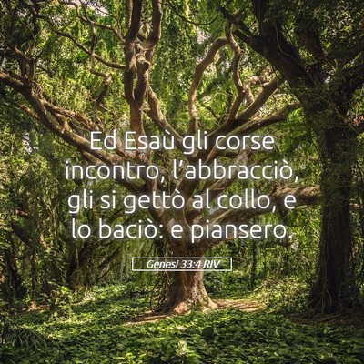Picture 05 - Genesi 33:4 RIV - Ed Esaù gli corse incontro, l’abbracciò, gli - Bible Verse Picture