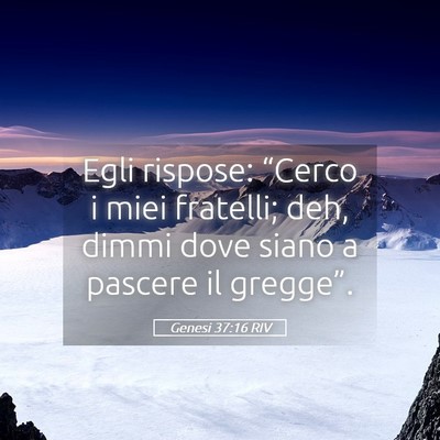 Picture 05 - Genesi 37:16 RIV - Egli rispose: “Cerco i miei fratelli; deh, - Bible Verse Picture