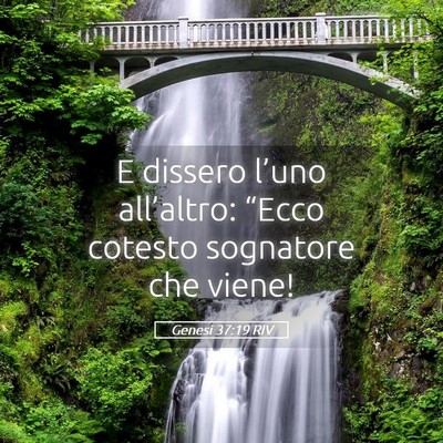 Picture 05 - Genesi 37:19 RIV - E dissero l’uno all’altro: “Ecco cotesto - Bible Verse Picture