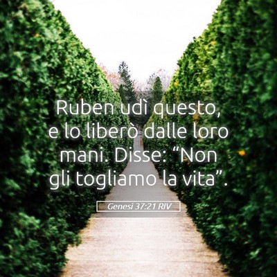 Picture 05 - Genesi 37:21 RIV - Ruben udì questo, e lo liberò dalle loro mani. - Bible Verse Picture