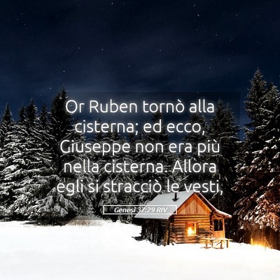 Picture 05 - Genesi 37:29 RIV - Or Ruben tornò alla cisterna; ed ecco, Giuseppe - Bible Verse Picture