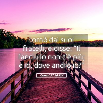 Picture 05 - Genesi 37:30 RIV - tornò dai suoi fratelli, e disse: “Il - Bible Verse Picture