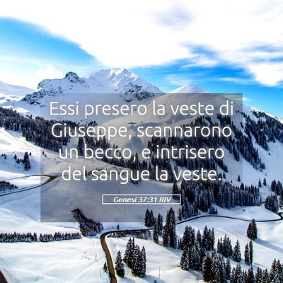Picture 05 - Genesi 37:31 RIV - Essi presero la veste di Giuseppe, scannarono un - Bible Verse Picture