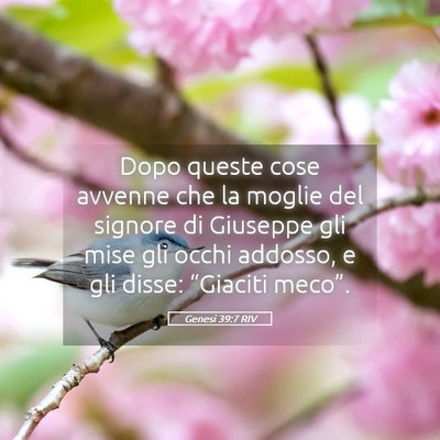 Picture 05 - Genesi 39:7 RIV - Dopo queste cose avvenne che la moglie del - Bible Verse Picture