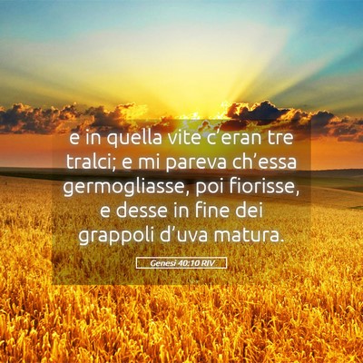 Picture 05 - Genesi 40:10 RIV - e in quella vite c’eran tre tralci; e mi pareva - Bible Verse Picture