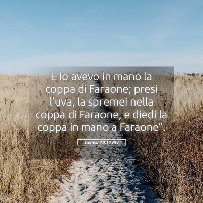 Picture 05 - Genesi 40:11 RIV - E io avevo in mano la coppa di Faraone; presi - Bible Verse Picture