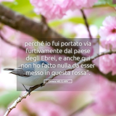 Picture 05 - Genesi 40:15 RIV - perché io fui portato via furtivamente dal paese - Bible Verse Picture